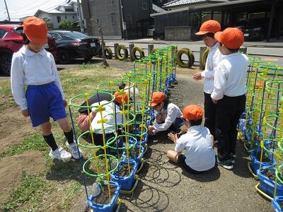 2年　植木鉢に支柱を装着